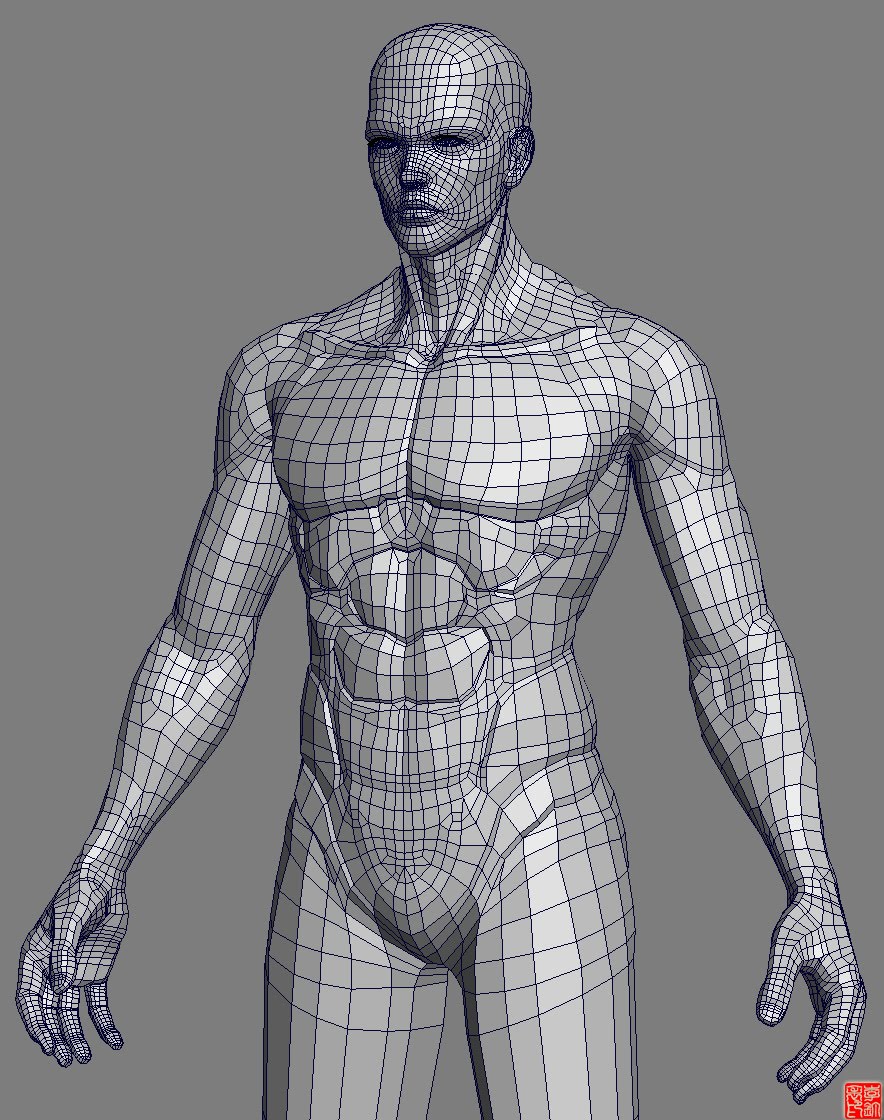 Сетчатое тело. Ретопология тела человека. 3ds Max модели людей. 3д модель человека. Модель человека для моделирования.